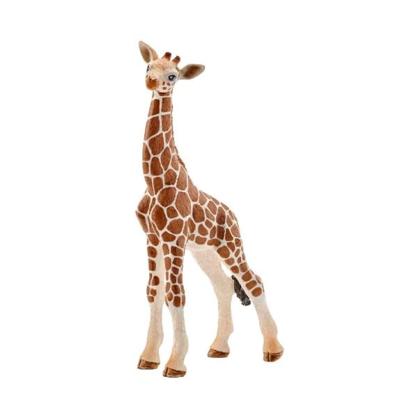 Giraffe Calf For Cheap
