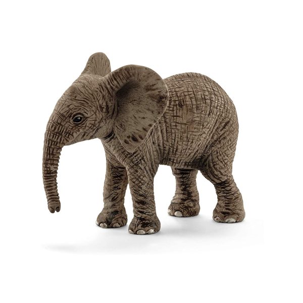 Elephant African Calf Hot on Sale