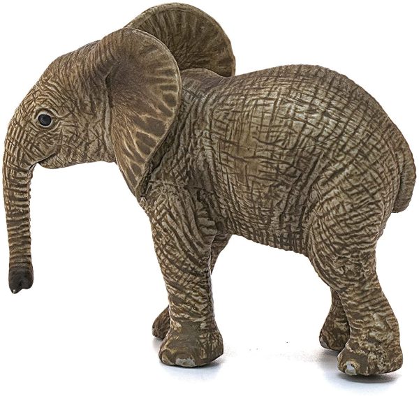Elephant African Calf Hot on Sale - Image 3